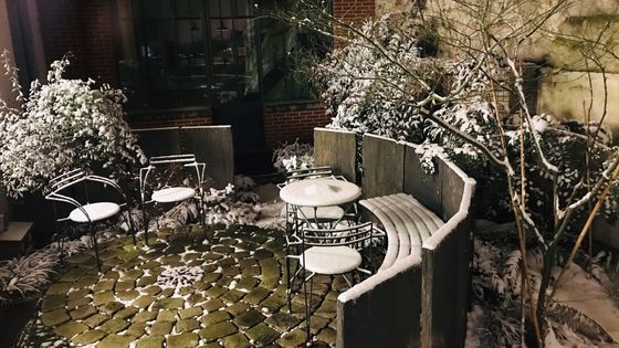 Jardin en hiver. ©Radio France - Collection personnelle Jean-François Zygel