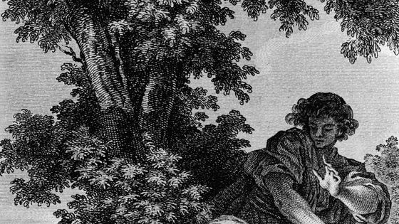 illustration pour Zadig, ou le livre du destin, roman philosophique de Voltaire (1694-1778), gravure de Jean Dambrun (1741-ca 1814) à partir d'une édition publiée en 1778 ©Getty - EA PICTURE LIBRARY
