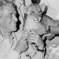 En 1969, à Nice, l'écrivain Joseph Kessel tient un bébé lion dans ses bras. Son roman, "Le Lion" , raconte l'amitié entre une petite fille et un lion. Il a été publié en 1958.