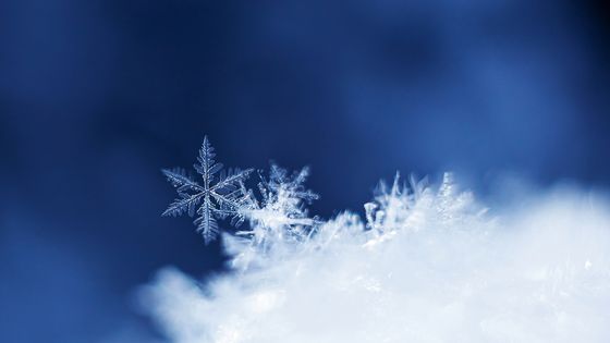 Tous les mystères physiques et mathématiques concernant la formation des flocons de neige ne sont pas encore percés. ©Getty - Cavan Images