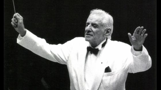 Bernstein, the final concert, 19 août 1990 - Deutsche Grammophon