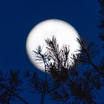 En 2014 on fêtait les 45 ans du premier voyage sur la lune