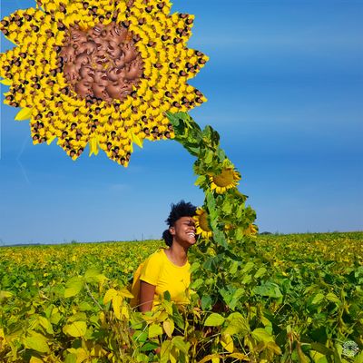 Sun Flower | Alissa Sylla