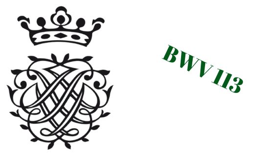 BWV 113
