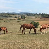 Sébastien gère une pension de 13 chevaux près de Besançon (Doubs). Un gendarme en patrouille lui rend visite, 22 septembre 2020.