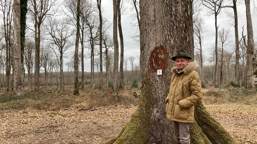 Philippe Gourmain est expert forestier : il était chargé de trouver les 1 000 chênes nécessaires à la première tranche de travaux pour Notre-Dame. Il pose ici à côté de l'arbre numéro un le 5 mars dans la forêt de Bercé (Sarthe).