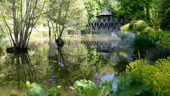 En Touraine, le château du Clos Lucé accueille une exposition numérique autour de Léonard de Vinci ©Maxppp - Marc Ollivier