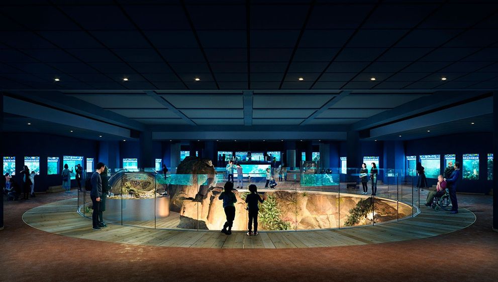 La quarantaine de l'Aquarium tropical du Palais de la Porte Dorée