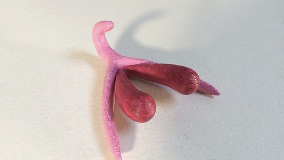 Le clitoris est le seul organe du corps humain uniquement dédié au plaisir. - Marie Docher - CC