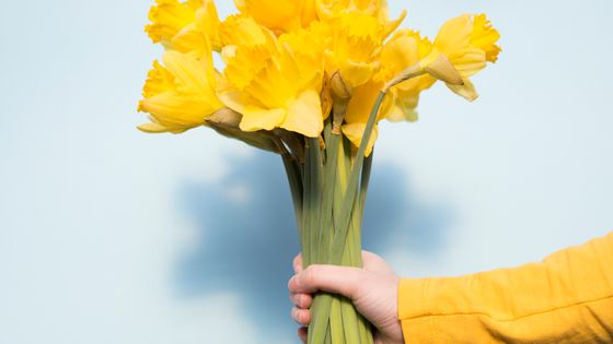 Plaisir d'offrir mais pas joie de recevoir ©Getty - Paula Daniëlse