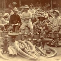 Benin City en 1897, des officiers britanniques posent au milieu de leurs "trophées".