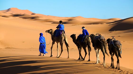 Un Touareg et ses enfants dans le désert du Sahara. ©Getty - © Martin Harvey / Coll. The Image Bank