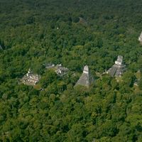 De nombreuses ruines Maya sont découvertes dans la jungle du nord du Guatemala, détectées par LiDAR