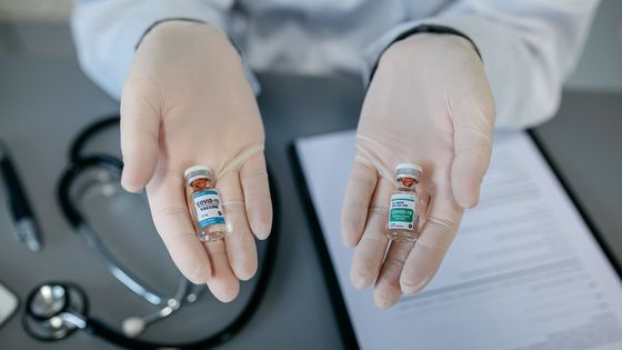 Différents vaccins ©Getty - David Pereiras
