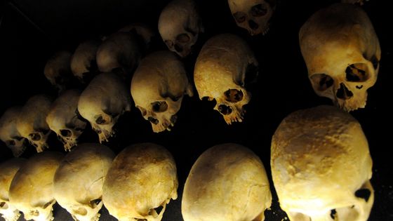 Les restes de victimes du génocide au Rwanda, au memorial du Génocide, à Kigali. ©AFP - Steve Terril /AFP