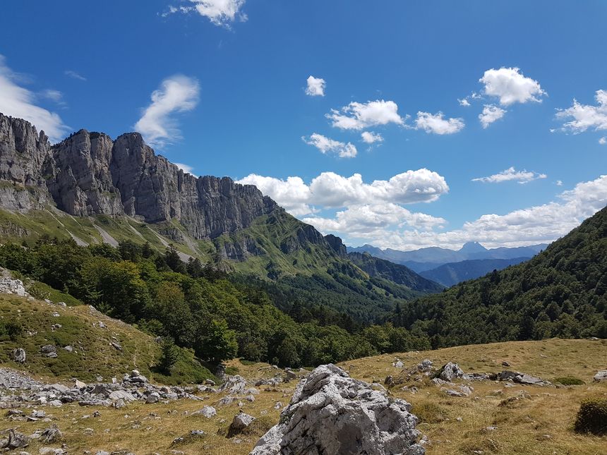 Sur un sentier des Pyréenes Atlantiques