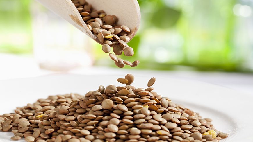 Lentilles