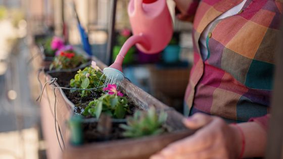 Fleurs ou légumes (voire les deux) : végétalisez vos balcons et rebords de fenêtres ©Getty