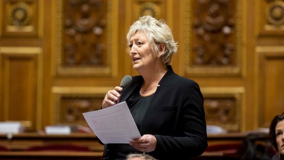 Catherine Morin-Desailly au Sénat en 2015 ©Maxppp - Christophe Morin