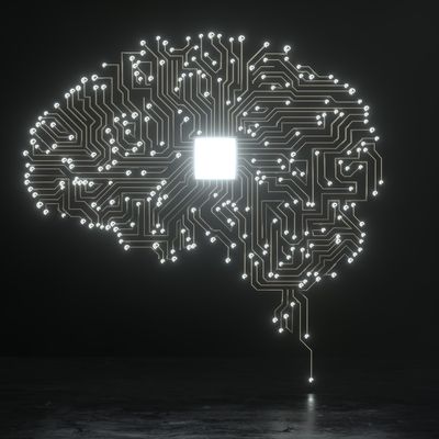 Et les raisons de l'adhésion à telle ou telle idéologie étaient à chercher dans nos besoins émotionnels ?