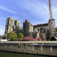 Le chantier de Notre-Dame de Paris