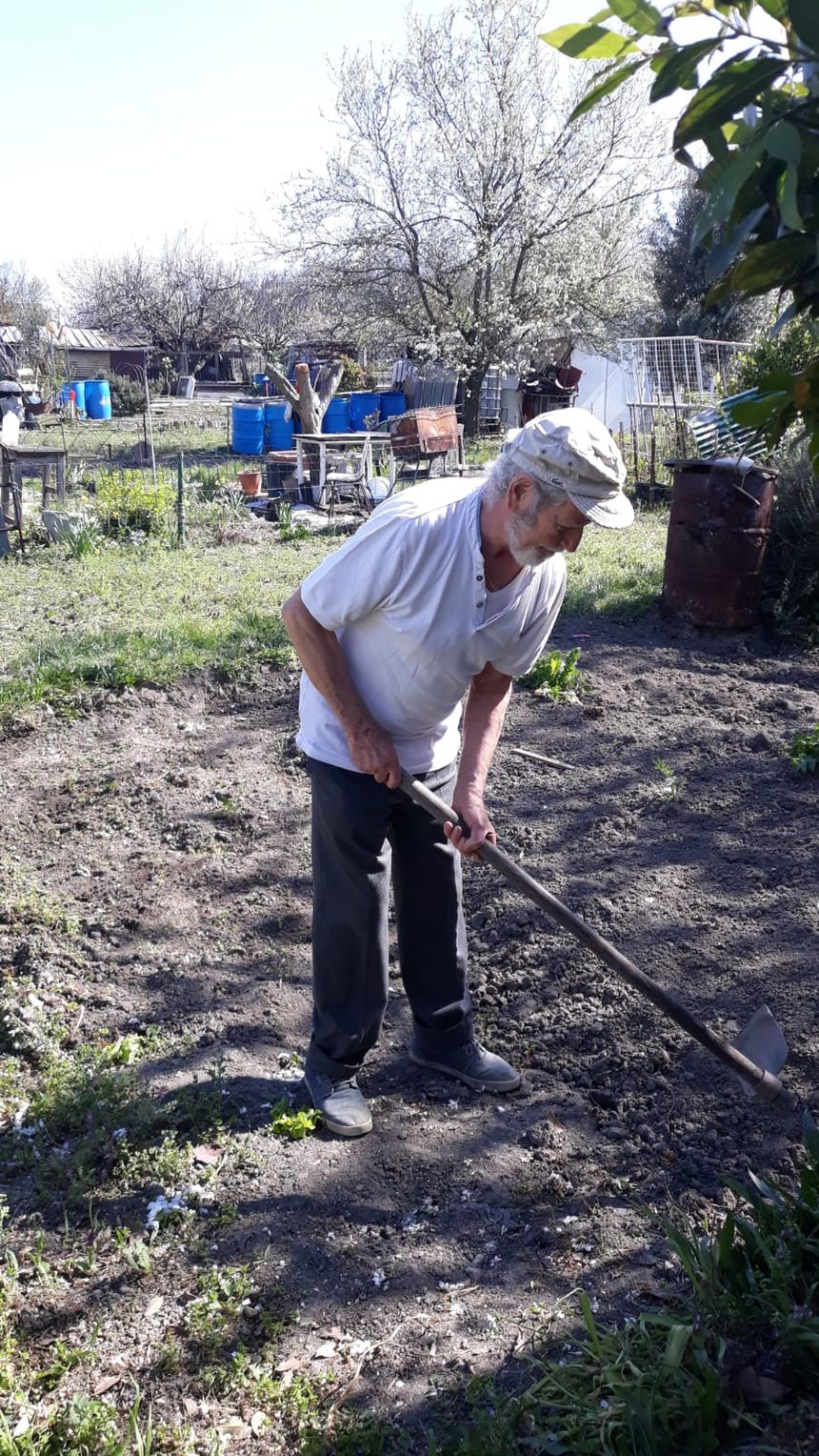 Brahim, jardine aux vertus depuis 30 ans. Aubervilliers (93), avril 2020
