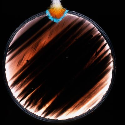 Disque inca en obsidienne