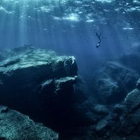 Les océans forment le plus grand réservoir d'eau et de chaleur de la planète. 12 émissions pour tout comprendre du rôle majeur qu'ils jouent dans les équilibres écologiques