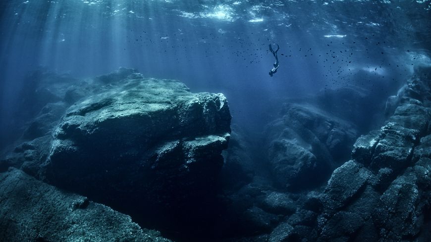 Les océans forment le plus grand réservoir d'eau et de chaleur de la planète. 12 émissions pour tout comprendre du rôle majeur qu'ils jouent dans les équilibres écologiques