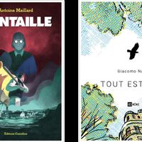 Couvertures : "L'entaille" d'Antoine Maillard et "Tout est vrai de Giacomo Nanni