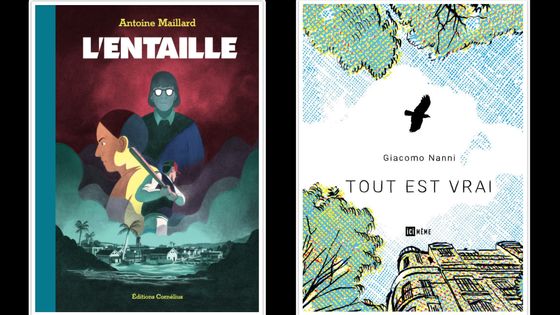 Couvertures : "L'entaille" d'Antoine Maillard et "Tout est vrai de Giacomo Nanni - Editions Cornélius // Ici même