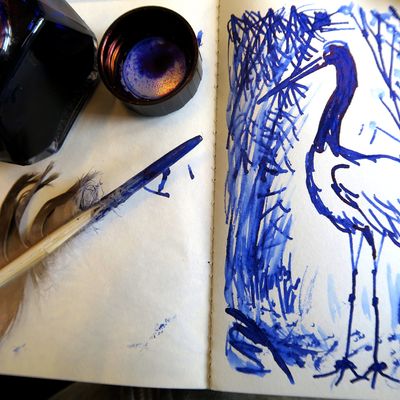 Dessins de Paatrice, réalisés pendant sa résidence au Parc de Clères.