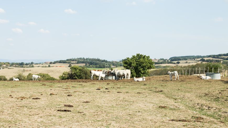 Le nord-ouest de l'Europe a vécu l'un des printemps les plus secs de ces 40 dernières années, notamment en France
