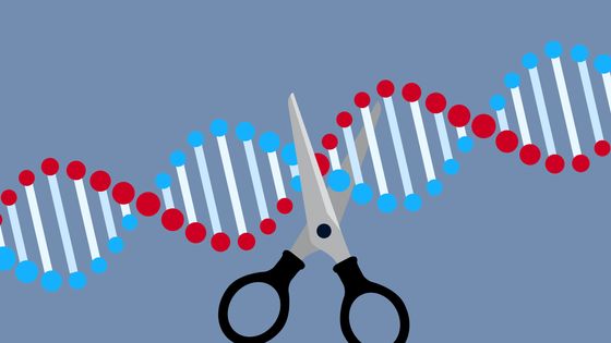 CRISPR-Cas 9 permet aux scientifiques d'aller couper l'ADN exactement là où ils le veulent, pour par exemple créer ou corriger une mutation génétique et soigner des maladies rares. ©Getty - traffic_analyzer