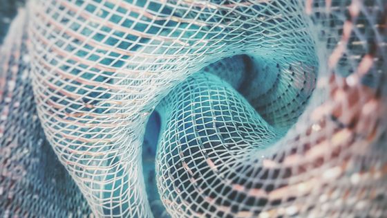 Close-Up Of Net ©Getty - Carol Haynes / EyeEm