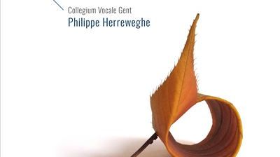 CD Meins Lebens Licht- P Herreweghe PHI