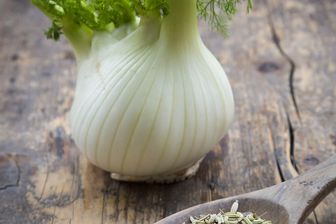 Le fenouil, du bulbe à la graine Le fenouil, du bulbe à la graine