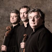 Trio Wanderer