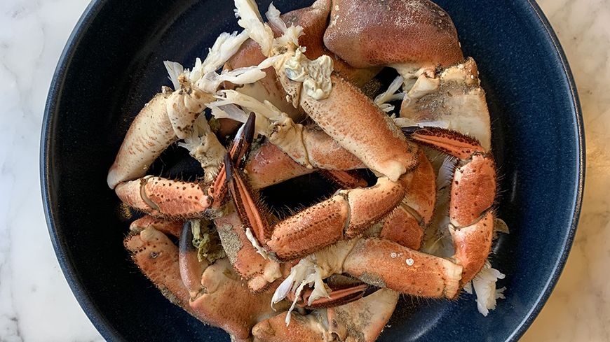Pinces de homards