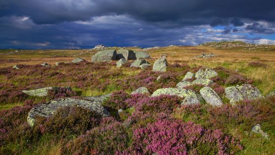 Bonnecombe dans l'Aubrac ©AFP - PAUL PALAU / ONLY FRANCE
