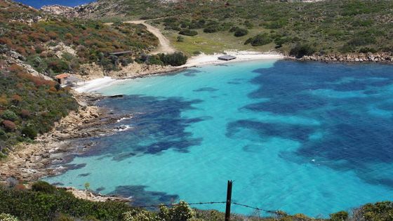 Cala Sabina,Asinara, Sardegna - Wikipedia / dirk hartung