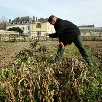 Un jardinier travaille dans le potager du Roi de Versailles en 2005