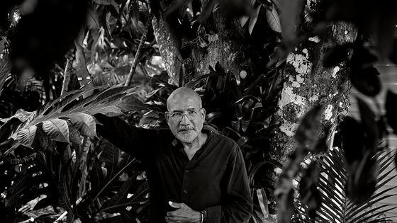 L’écrivain Patrick Chamoiseau auteur de l’essai "Le Conteur, la nuit et le panier" (Éditions du Seuil). - Jean Luc de La Garigue