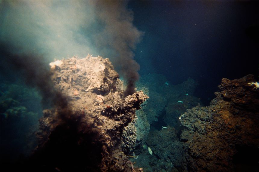 Source hydrothermale : de minuscules crabes et d'autres espèces marines vivent à côté d'une source d'eau chaude au fond de l'océan.