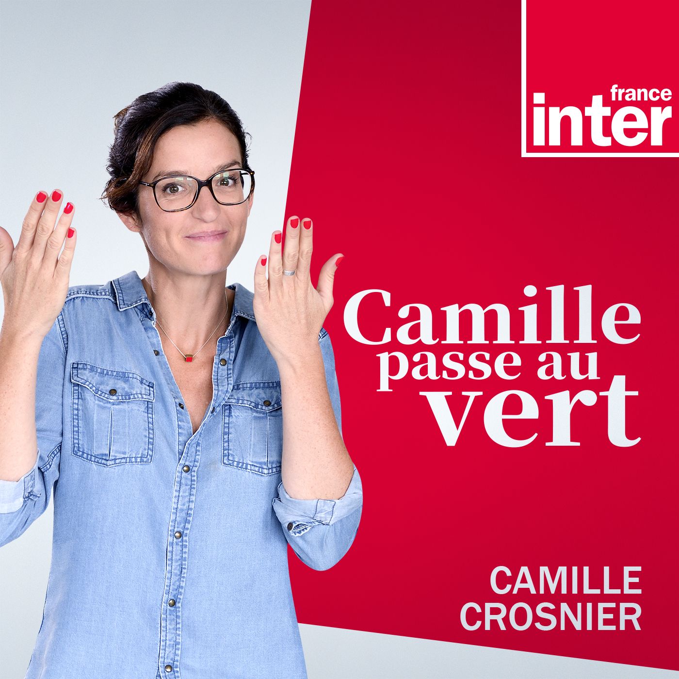 Camille passe au vert cover