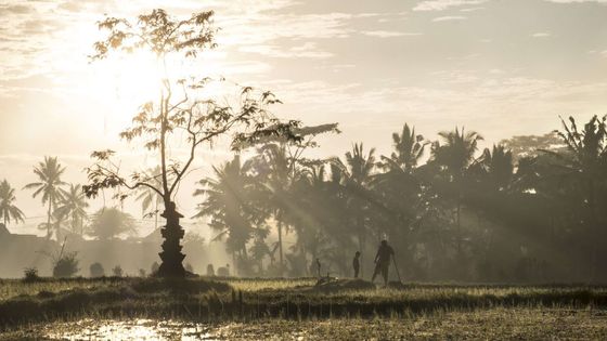 Paysage de Bali, en Indonésie. ©Getty - Rio Helmi/LightRocket