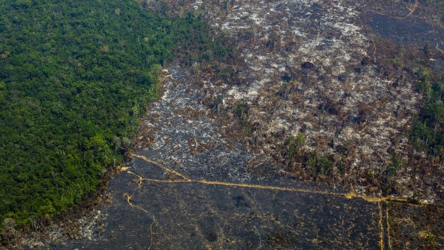 La déforestation d'une partie de la forêt amazonienne au Brésil en 2019