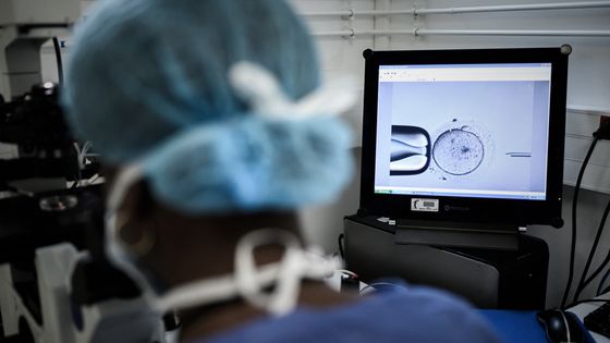 La loi de bioéthique pourrait être votée d'ici la fin de l"été. Elle prévoit la levée de l'anonymat pour les donneurs de sperme et donneuses d'ovocytes. ©AFP - Philippe LOPEZ