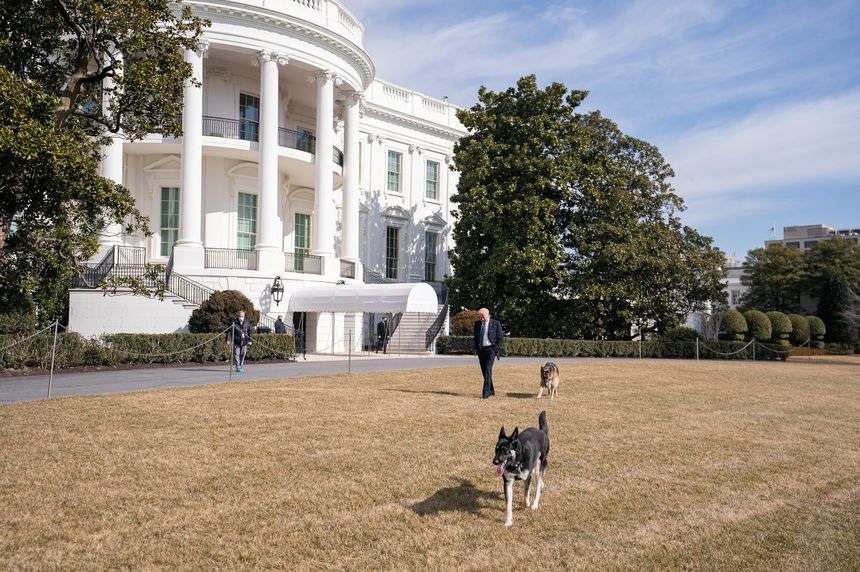 Joe Biden et ses chiens, Major et Champ, le 9 février 2021