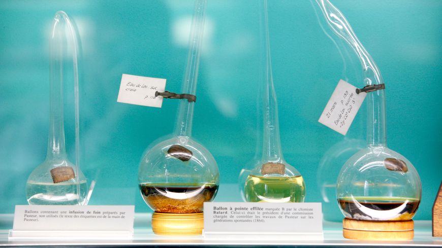 Ballons à col-de-cygne utilisés par Louis Pasteur pour ses travaux sur la fermentation et la génération spontanée (Musée Pasteur)